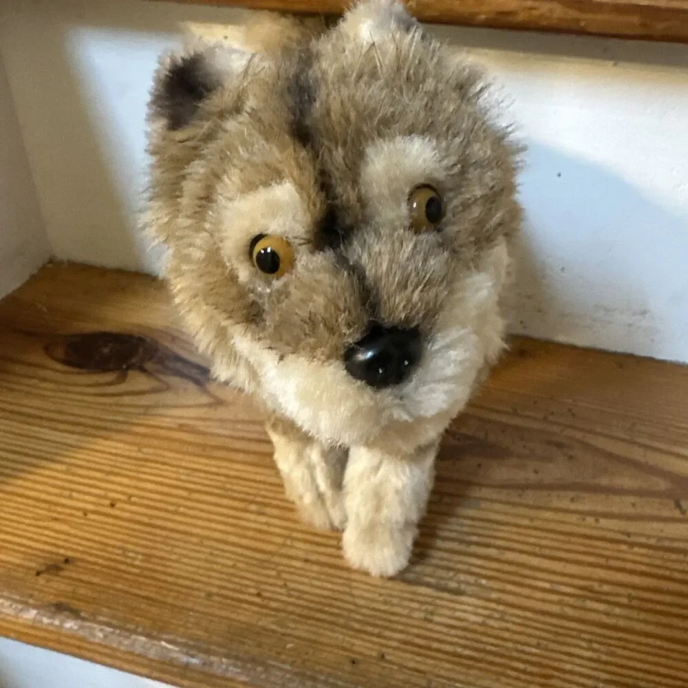 American Girl Kaya's Wolf Dog Tatlo 11